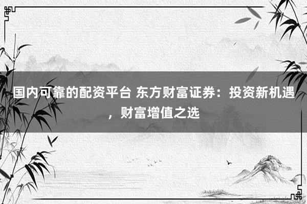 国内可靠的配资平台 东方财富证券：投资新机遇，财富增值之选