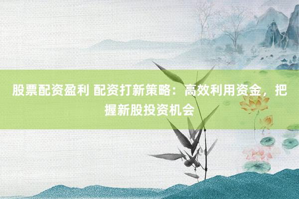 股票配资盈利 配资打新策略：高效利用资金，把握新股投资机会