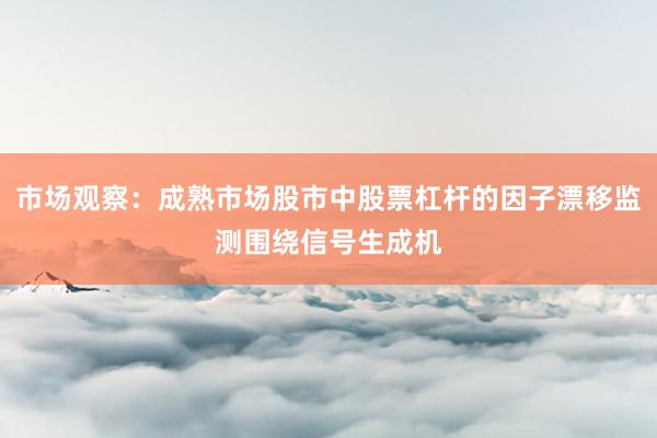 市场观察：成熟市场股市中股票杠杆的因子漂移监测围绕信号生成机