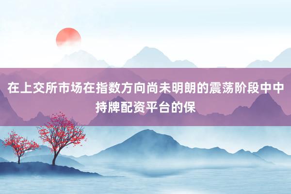 在上交所市场在指数方向尚未明朗的震荡阶段中中持牌配资平台的保