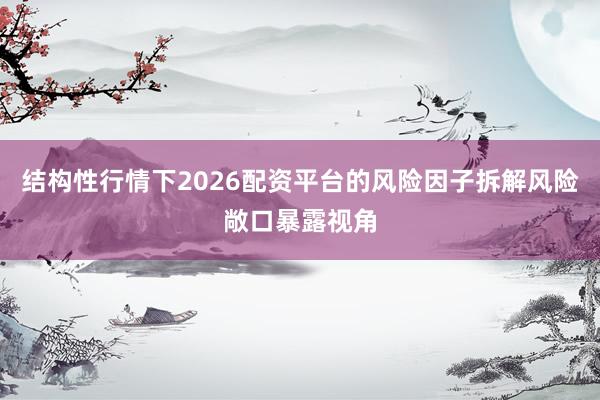 结构性行情下2026配资平台的风险因子拆解风险敞口暴露视角