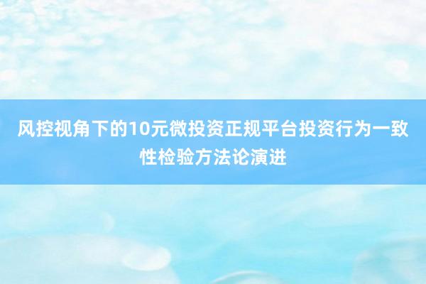 风控视角下的10元微投资正规平台投资行为一致性检验方法论演进