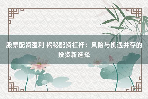 股票配资盈利 揭秘配资杠杆：风险与机遇并存的投资新选择
